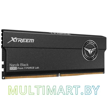 Оперативная память Team T-Force Xtreem 2x16GB DDR5 PC5-48000 (FFXD532G6000HC30DC01) картинка 2